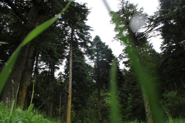 Doğa ve Manzara fotoğrafı